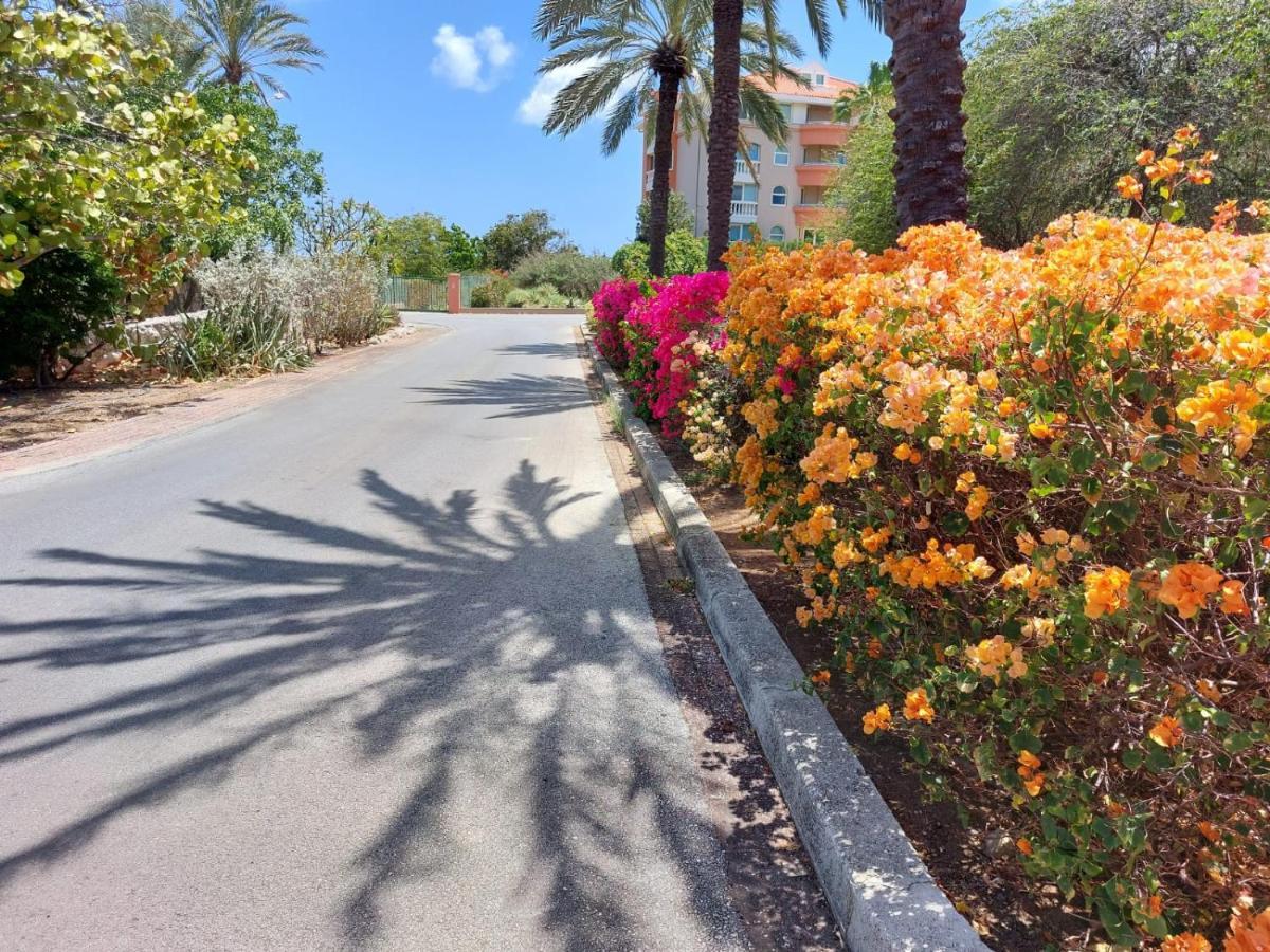 דירות וילמסטאד Piscadera Bungalow מראה חיצוני תמונה
